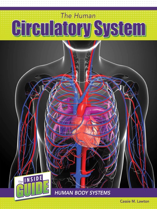 Title details for The Human Circulatory System by Cassie M. Lawton - Available